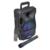Diffusore amplificato con radiomicrofono 300W PMPO